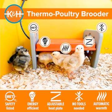 K&H Adjustable Chicken Brooder Heater for Chicks and Ducklings