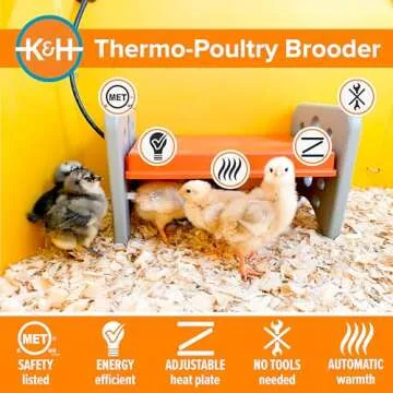 K&H Adjustable Chicken Brooder Heater for Chicks and Ducklings