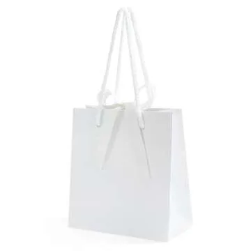 SHYRABBIT 10pcs White Gift Bags with Handles,7.9x3.1x9.1Inch Cosmetics Paper Bags,Gift Bags,White gift bags with Bow,Christmas Gift Bags, shopping Paper bags