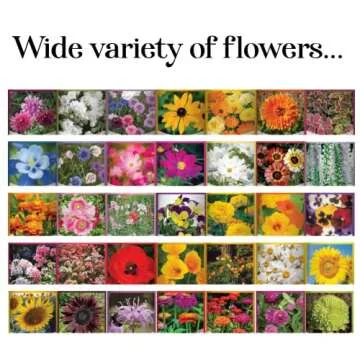 Gardeners Basics, Flower Seeds Packets for Planting 35 Individual Varieties Perennial, Annual, Wildflower Seeds for Planting Outdoors for Bees and Butterflies - Semillas de Flores Hermosas