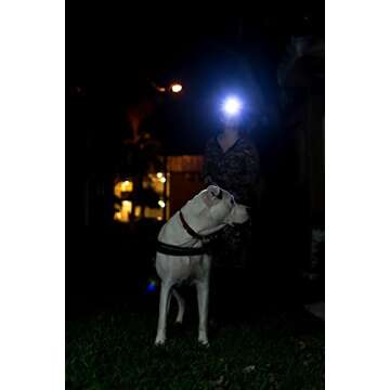 LED Headlamp Flashlight - Great for Camping, Fishing, Hiking, Dog Walking, & Kids. One of The Lightest (2.6 oz) White Cree Headlight, Water & Shock Resistant + Red Strobe, 3 AAA Batteries Included