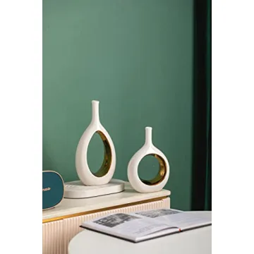 Elegant Modern Vases Set for Home Decor and Gifts