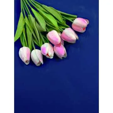 LYLYCTY 5x7ft Photography Studio Non-Woven Backdrop RoyalBlue Backdrop Solid Color Backdrop Simple Background