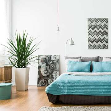 Costa Farms Dracaena Marginata Magenta Indoor Plant 3 to 4 feet