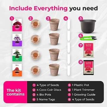 Grow Your Own Bonsai Tree Kit | Complete Beginner-Friendly Set for Plant Lovers