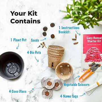 Grow Your Own Bonsai Tree Kit | Complete Beginner-Friendly Set for Plant Lovers