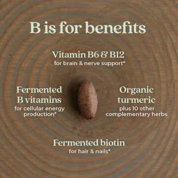 New Chapter Vitamin B Complex - Organic Energy Support
