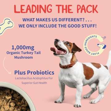 Fifth & Fido Turkey Tail Mushroom Powder for Dogs – Natural Probiotic Supplement – Dog Digestive Health & Immune Support – 100 Servings, 4.58 oz (100g) Bacon Flavor