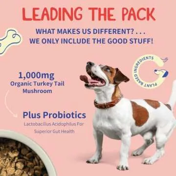 Fifth & Fido Turkey Tail Mushroom Powder for Dogs – Natural Probiotic Supplement – Dog Digestive Health & Immune Support – 100 Servings, 4.58 oz (100g) Bacon Flavor
