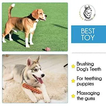 Pets&Goods Dog Rope Toy for Active Chewers, Heavy Duty Rope Toy for Small Breed, Washable 100% Cotton Dog Chew Toys, Tug of War Dog Toy, Pack of 9 Puppy Teething Toys (Small Breed, 9, Count)