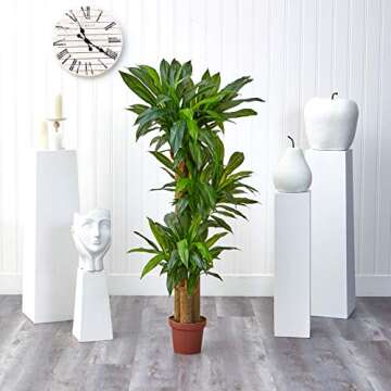 Nearly Natural 62IN Artificial Corn Stalk Dracaena Plant, Tall Fake Plant for Indoor Home Décor, Real Touch Faux Plant