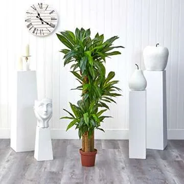 Nearly Natural 62IN Artificial Corn Stalk Dracaena Plant, Tall Fake Plant for Indoor Home Décor, Real Touch Faux Plant