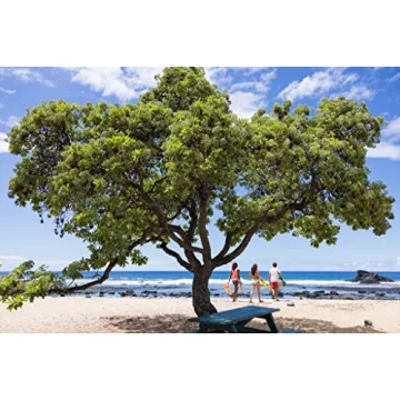 Hydro Flask Standard Mouth Bottle for Ultimate Hydration