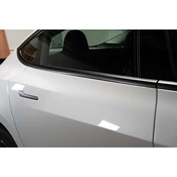 Nikola Pro Tesla Model 3 Chrome Delete Complete Kit