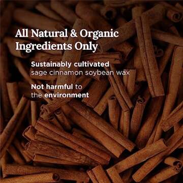 MAGNIFICENT 101 Money Aromatherapy Candle for Getting a Cash Flow Boost - Sage Cinnamon Scented Natural Soybean Wax Tin Candle for Purification and Chakra Healing