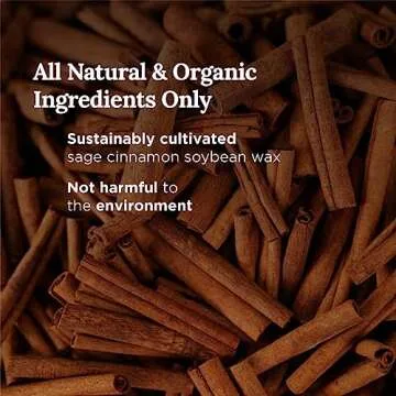 MAGNIFICENT 101 Money Aromatherapy Candle for Getting a Cash Flow Boost - Sage Cinnamon Scented Natural Soybean Wax Tin Candle for Purification and Chakra Healing