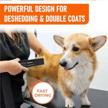 Dog Dryer for Pet Grooming - Professional High Velocity Blow Dryer for Dogs - Pet Hair Dryer Blower - Dog Blow Dryer Heater with 4 Different Nozzles
