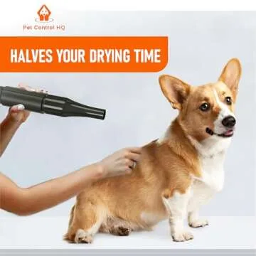 Professional High Velocity Pet Grooming Dog Hair Dryer