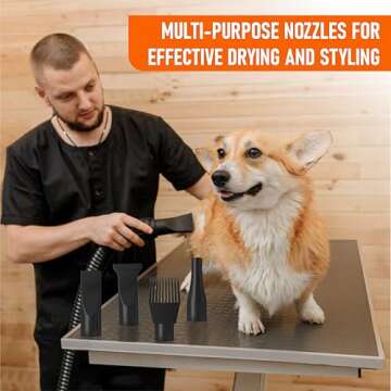 Dog Dryer for Pet Grooming - Professional High Velocity Blow Dryer for Dogs - Pet Hair Dryer Blower - Dog Blow Dryer Heater with 4 Different Nozzles
