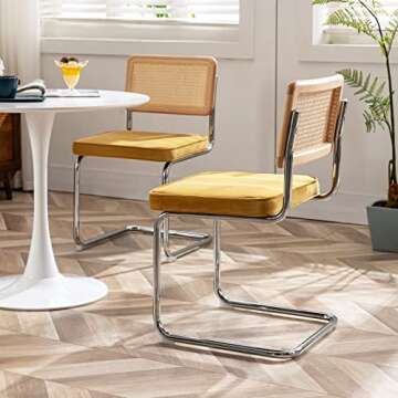 Zesthouse Dining Chairs Set of 4, Natural Rattan Accent Chairs with Solid Wood Back & Stainless Chro...