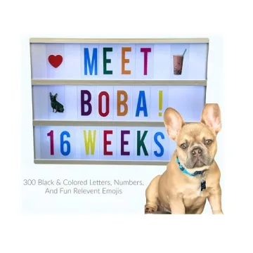 Cinema Lightbox with 300+ Letters & Emojis - Personalize Easily