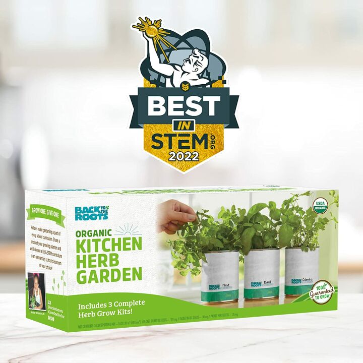 Complete Kitchen Garden Herb Seed Kit - Basil, Mint & Cilantro