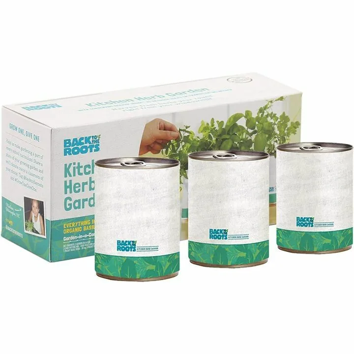 Complete Kitchen Garden Herb Seed Kit - Basil, Mint & Cilantro
