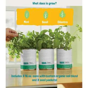 Complete Kitchen Garden Herb Seed Kit - Basil, Mint & Cilantro