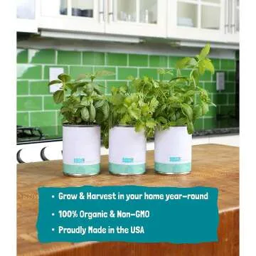 Complete Kitchen Garden Herb Seed Kit - Basil, Mint & Cilantro