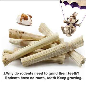 Dbeans 150G Chew Toys for Happy Healthy Rabbits