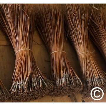 The Tall Pine Long Leaf Pine Needles for Basket Making - 8oz Bundle