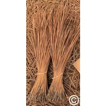 Long Leaf Pine Needles for Basket Making - 8oz
