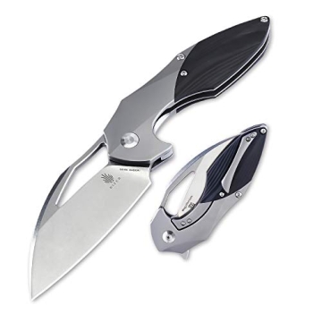 Kizer Cutlery Megatherium Titanium Knife - Ultimate Quality