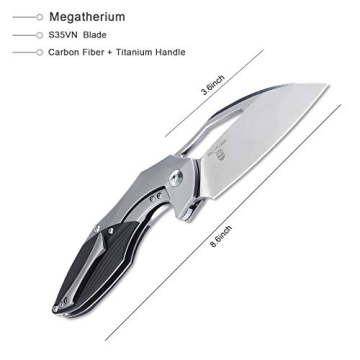 Kizer Cutlery Megatherium Titanium Knife - Ultimate Quality