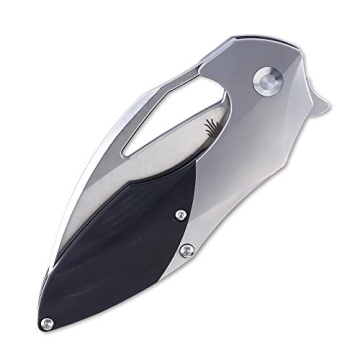 Kizer Cutlery Megatherium Titanium Knife - Ultimate Quality