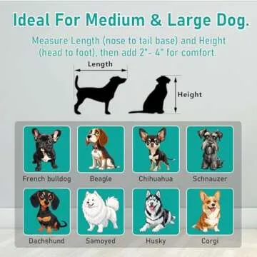 Stackable Heavy Duty Dog Cage with Open Top Design