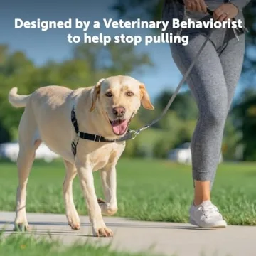 PetSafe Easy Walk No-Pull Dog Harness for Better Walks
