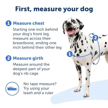 PetSafe Easy Walk No-Pull Dog Harness for Better Walks