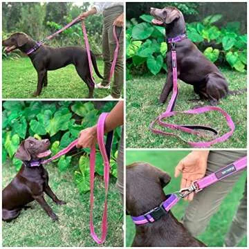 Tuff Pupper Heavy Duty Double Handle Dog Leash | Twist Locking Carabiner Dog Clip | Safety Lock Leash To Hold Strong Dogs | Reflective For Safe Night Walks | 6 Foot Dog Leash | For Medium & Large Dogs