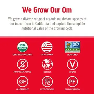 OM MUSHROOM SUPERFOOD Immune Blend Mushroom Powder Superfood Supplement, 7.05 Ounce Pouch, 100 Servings, Mushroom Blend, Reishi & Turkey Tail; Daily Immune Support Supplement