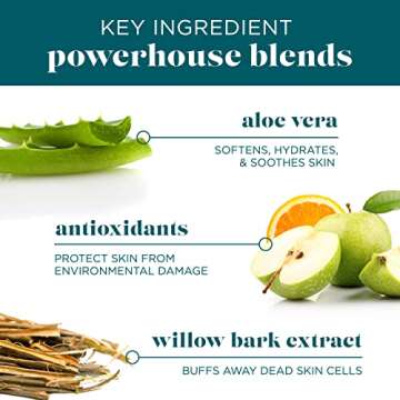 VI Derm Hydrating Gentle Purifying Cleanser, For Daily Use with Aloe Vera, Antioxidants, and Willow Bark Extract, 4 Fl Oz / 120 mL