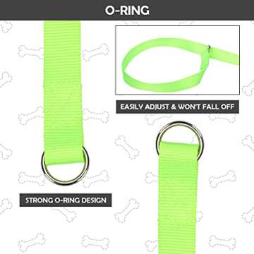 HOMIMP Slip Lead Dog Leash 6 FT- 8 PCS Bulk Colors Kennel Control Leashes for Small Medium Large Dogs Puppy Animal Rescue, Grooming - Heavy Duty Strong Nylon 6 Foot Long for Shelter, Vet, Training