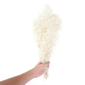 MIHUAGE Dried Baby’s Breath Flowers for Weddings and Home Decor