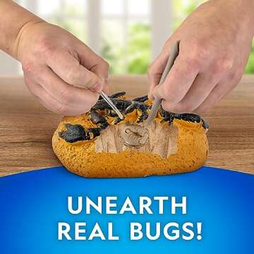 NATIONAL GEOGRAPHIC Real Bug Dig Kit - Dig up 3 Real Insects Including Spider, Fortune Beetle and Scorpion - Great STEM Science Gift