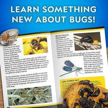 NATIONAL GEOGRAPHIC Real Bug Dig Kit - Dig up 3 Real Insects Including Spider, Fortune Beetle and Scorpion - Great STEM Science Gift