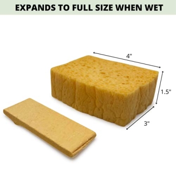 rE: Pop Up Sponges 10Pk Eco-Friendly & Biodegradable