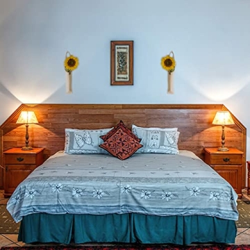 SNAIL GARDEN 2 Pack Wall Vases for Flower Decor