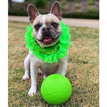 Jolly Pets Floating Soccer Ball Dog Toy - 6 inch - Apple Green