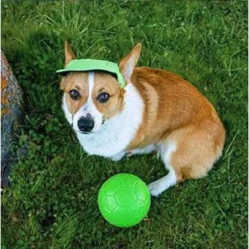 Jolly Pets Floating Soccer Ball Dog Toy - 6 inch - Apple Green