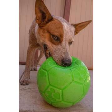 Jolly Pets Floating Soccer Ball Dog Toy - 6 inch - Apple Green